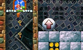 Yoshi's New Island