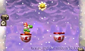 Yoshi's New Island