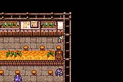 Final Fantasy I y II: Dawn of Souls