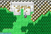 Final Fantasy I y II: Dawn of Souls