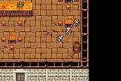 Final Fantasy I y II: Dawn of Souls