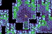 Final Fantasy I y II: Dawn of Souls