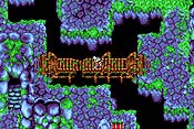 Final Fantasy I y II: Dawn of Souls