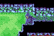 Final Fantasy I y II: Dawn of Souls