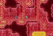 Final Fantasy I y II: Dawn of Souls