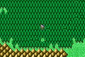 Final Fantasy I y II: Dawn of Souls