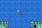 Final Fantasy I y II: Dawn of Souls