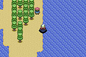 Pokémon Edición Esmeralda