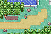 Pokémon Edición Esmeralda