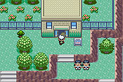 Pokémon Edición Esmeralda