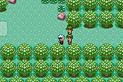 Pokémon Edición Esmeralda