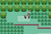 Pokémon Edición Esmeralda