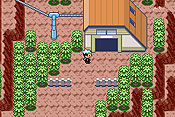 Pok&eacute;mon Edici&oacute;n Esmeralda