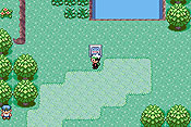 Pokémon Edición Esmeralda