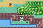 Pok&eacute;mon Edici&oacute;n Esmeralda