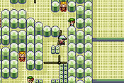 Pok&eacute;mon Edici&oacute;n Esmeralda