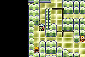 Pok&eacute;mon Edici&oacute;n Esmeralda