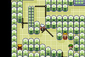 Pok&eacute;mon Edici&oacute;n Esmeralda