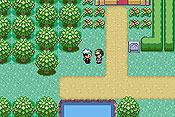 Pok&eacute;mon Edici&oacute;n Esmeralda