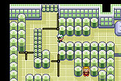Pok&eacute;mon Edici&oacute;n Esmeralda