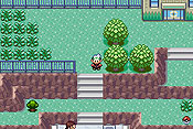 Pokémon Edición Esmeralda