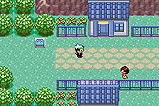 Pok&eacute;mon Edici&oacute;n Esmeralda