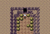 Pok&eacute;mon Edici&oacute;n Esmeralda