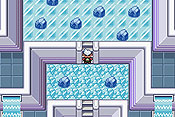 Pok&eacute;mon Edici&oacute;n Esmeralda