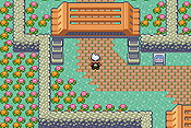 Pok&eacute;mon Edici&oacute;n Esmeralda
