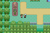 Pok&eacute;mon Edici&oacute;n Esmeralda
