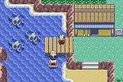 Pok&eacute;mon Edici&oacute;n Esmeralda
