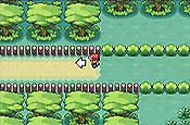 pokémon Rojo Fuego y Verde Hoja 