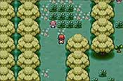 pokémon Rojo Fuego y Verde Hoja 