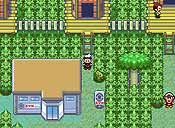 Pok&eacute;mon rub&iacute;/zafiro