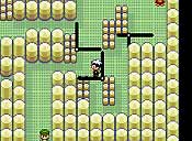 Pok&eacute;mon rub&iacute;/zafiro