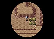 Pok&eacute;mon rub&iacute;/zafiro