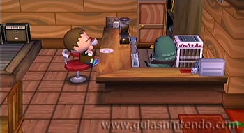 Animal Crossing: Let's Go to the City
