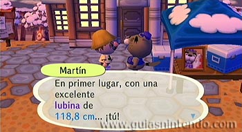 Animal Crossing: Let's Go to the City