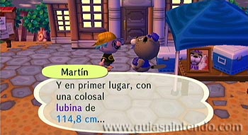 Animal Crossing: Let's Go to the City