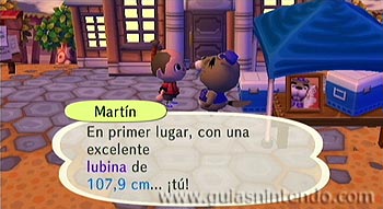 Animal Crossing: Let's Go to the City