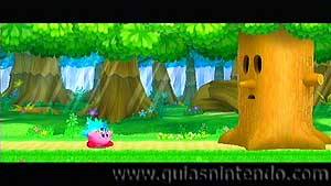 Kirby's Adventure Wii