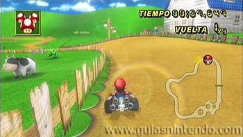 Mario Kart Wii