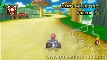 Mario Kart Wii