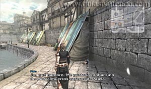 The Last Story