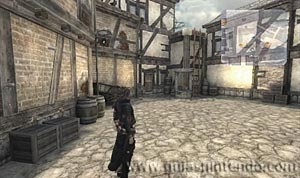 The Last Story