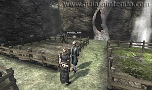 The Last Story
