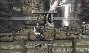 The Last Story