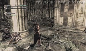 The Last Story