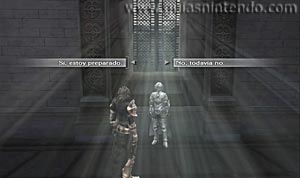The Last Story