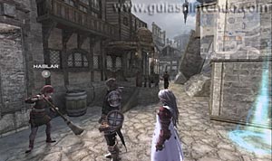 The Last Story